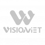 Vison Việt Media