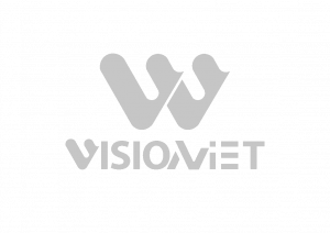 Vison Việt Media